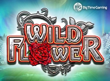 RTP BTG Wild Flower